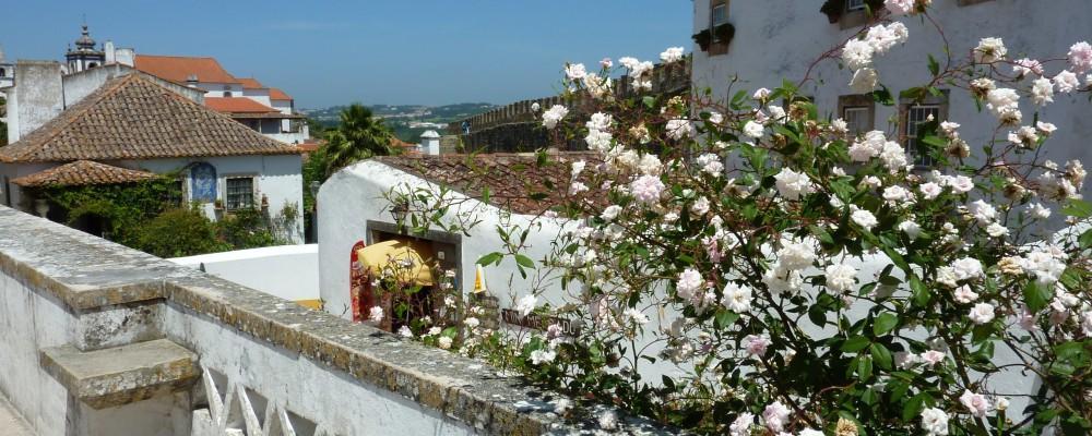 Апартаменты Carmona Сан-Мартинью-ду-Порту Экстерьер фото